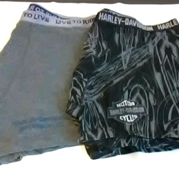Harley-Davidson Other - Lot of 2 Harley Davidson boxer briefs